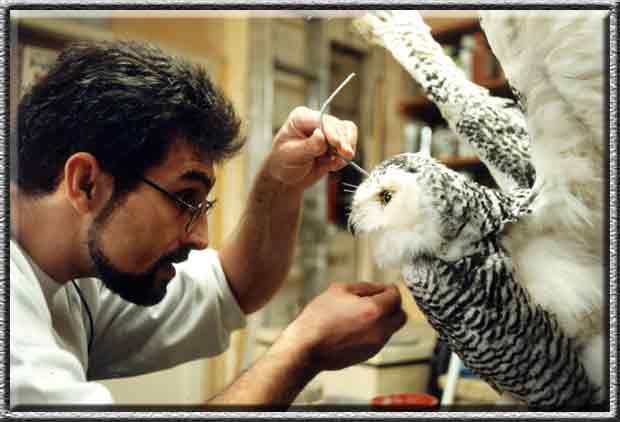 Ingo Kopmann at work