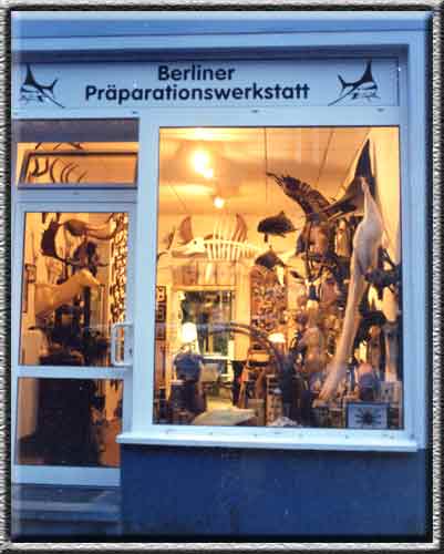 Unser Schaufenster