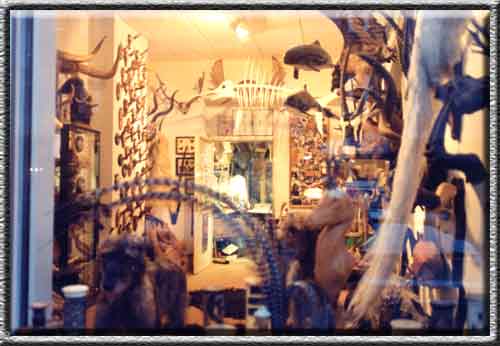 Unser Schaufenster