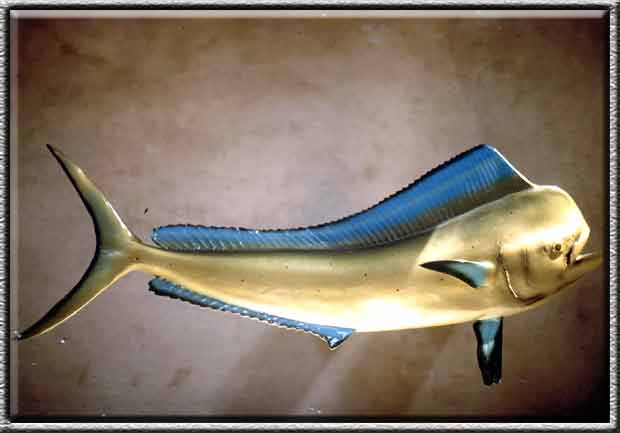 Fischpräparate